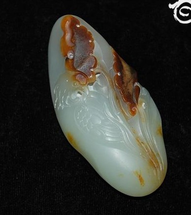 dvubb 图片点击可在新窗口打开查看