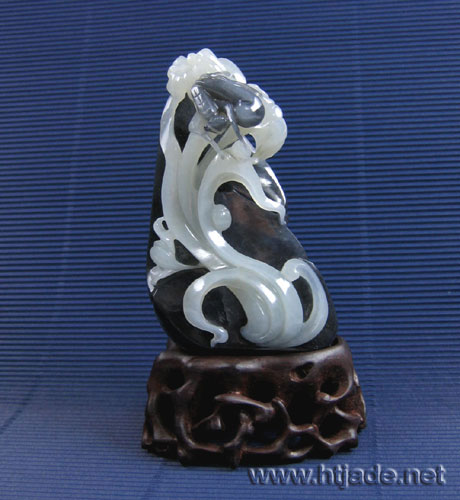 dvubb 图片点击可在新窗口打开查看